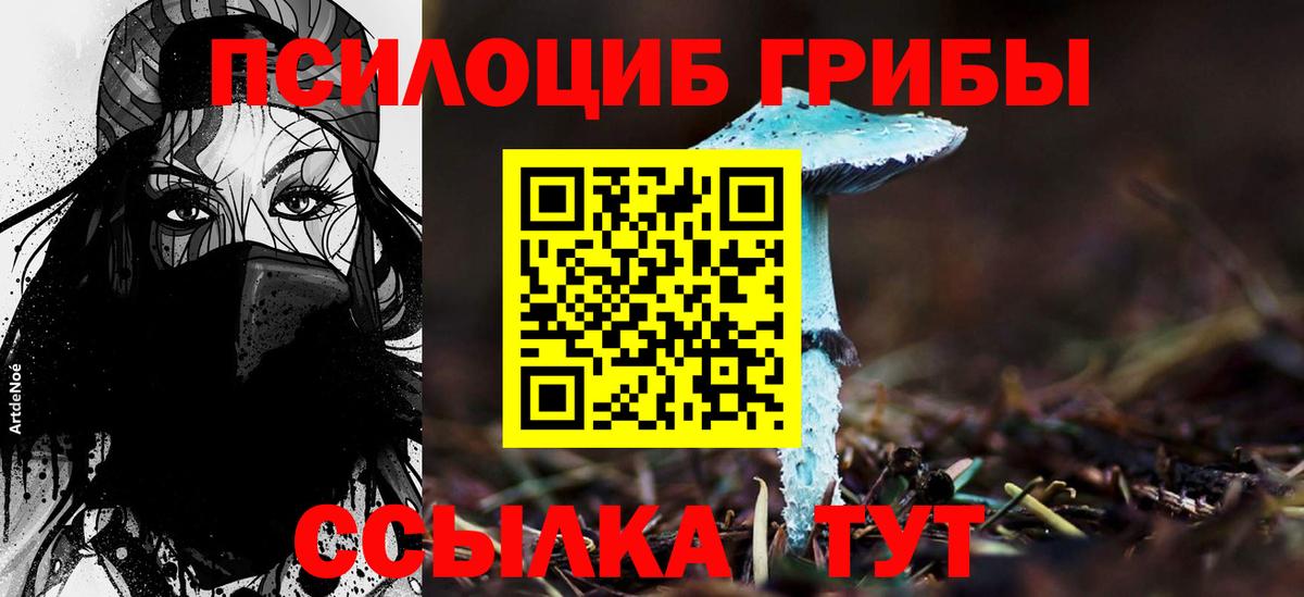 Галлюциногенные грибы MAGIC MUSHROOMS Азнакаево